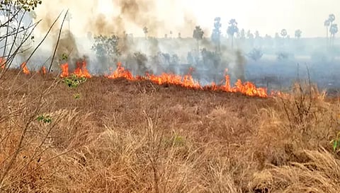 விவசாய நிலம் தீ பிடித்து எரிந்து கொண்டிருப்பதை படத்தில் காணலாம்.