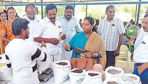 வேளாண் கண்காட்சி நடைபெற்ற போது எடுத்த படம்.