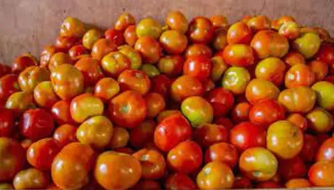 நாமக்கல் உழவர் சந்தையில் தக்காளி ஒரு கிலோ ரூ.10 ஆக சரிவு