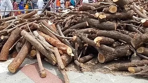 பண்ணாரியம்மன் கோவிலில் குவிந்த எரி கரும்புகள்