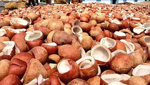 அரவை கொப்பரை அரசு கொள்முதல் மையங்கள் இன்று திறப்பு