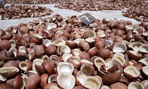 கோப்புபடம்.