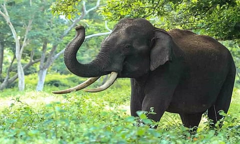 கோப்புபடம்.