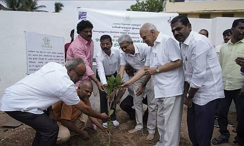 விவசாயிகள் மனம் வைத்தால் 242 கோடி மரங்கள் நடுவது பெரிய விஷயமே இல்லை- காவேரி கூக்குரல் இயக்கம்