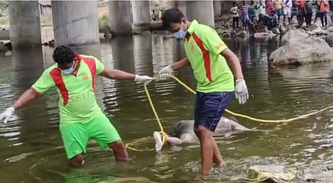 தென்பெண்ணை ஆற்றில் ஆண் சடலம்