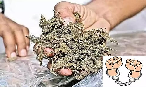 கஞ்சா விற்ற வாலிபர் கைது