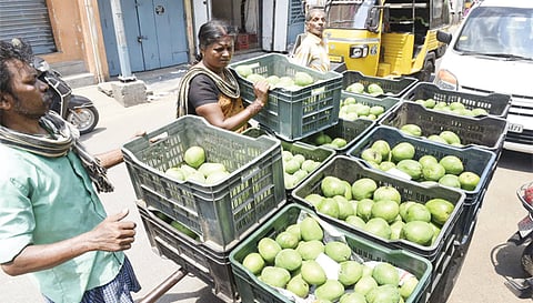 சேலத்தில் மாம்பழ சீசன் தொடங்கியுள்ள நிலையில் மார்க்கெட்டுக்கு வந்த மாம்பழங்களை விற்பனைக்காக தள்ளு வண்டியில் எடுத்துச் செல்லும் வியாபாரிகள்.