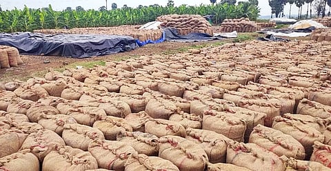 நெல் மூட்டைகள் தேக்கம்