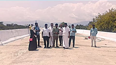 பாலத்திற்கு வர்ணம் பூசும் பணியை தங்கபாண்டியன் எம்.எல்.ஏ. பார்வையிட்டார்.