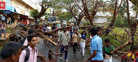மரம் விழுந்து போக்குவரத்து பாதிப்பு