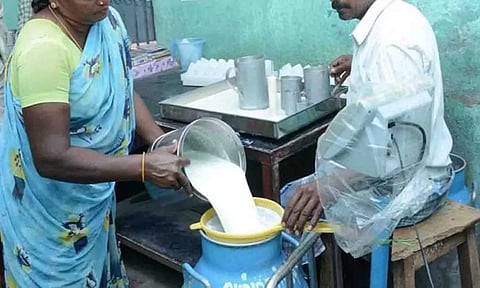 கோப்புபடம்.