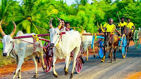 ஏரியூர் கிராமத்தில் மாட்டு வண்டி பந்தயம்