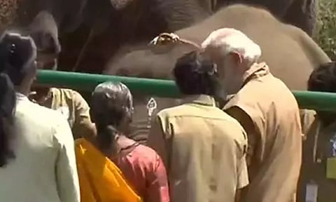 ஆஸ்கர் தம்பதி பொம்மன் -பெள்ளியை சந்தித்த பிரதமர் மோடி