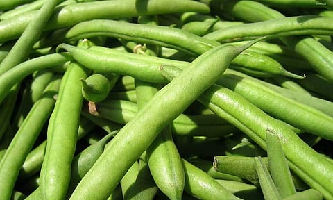 வரத்து குறைந்ததால் பீன்ஸ் கிலோ ரூ.120 ஆக அதிகரிப்பு