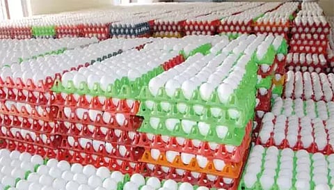 முட்டை கொள்முதல் விலையை 30 பைசாவுக்கு மேல் குறைக்க கூடாதுதேசிய ஒருங்கிணைப்பு குழு அறிவிப்பு