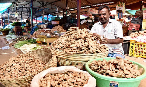 ஈரோடு வ.உ.சி. காய்கறி மார்க்கெட்டில் விற்பனைக்காக குவித்து வைக்கப்பட்டுள்ள இஞ்சியை படத்தில் காணலாம்.