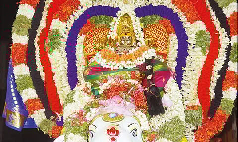 வெக்காளியம்மன் சிறப்பு அலங்காரத்தில் யானை வாகனத்தில் எழுந்தருளியபோது எடுத்த படம்.