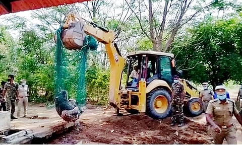 கோவையில் குடிநீர் தொட்டியில் விழுந்து இறந்த குட்டி யானையை தேடி வந்த 11 யானைகள்