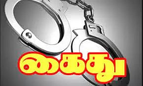 பெண்ணுக்கு பாலியல் தொல்லை; 2 வாலிபர்கள் கைது