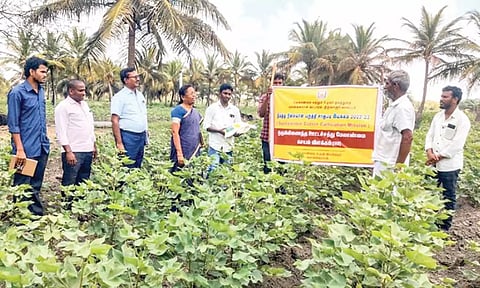 விவசாயி ஒருவரின் வயலில் வேளாண்மை துறை அதிகாரிகள் கள ஆய்வு செய்தனர்.