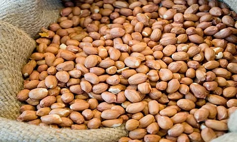 ரூ.3 லட்சத்து 96 ஆயிரத்துக்கு நிலக்கடலை விற்பனை