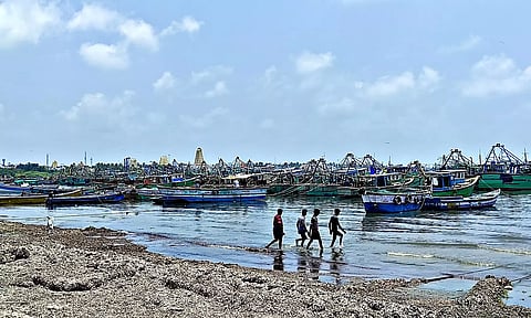 தடை காலத்தை முன்னிட்டு ராமேசுவரம் துறைமுகத்தில் நங்கூரமிட்டு நிறுத்தப்பட்டுள்ள விசைப்படகுகள். 
