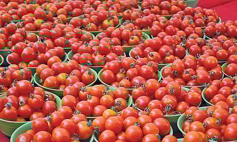 கோப்புபடம்.