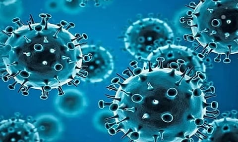 கொரோனாவுக்கு சிகிச்சை பெறுவோர் எண்ணிக்கை 26 ஆக உயர்வு