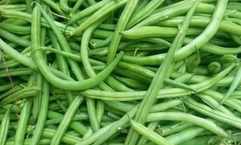 பீன்ஸ் கிலோ ரூ.120 ஆக அதிகரிப்பு