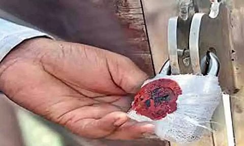 கோப்புபடம்.