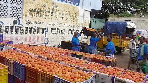வரத்து அதிகரிப்பால் தக்காளி விலை சரிவு