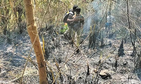 சத்தியமங்கலம் அருகே வனப்பகுதியில் தொடர்ந்து 3-வது நாளாக கொழுந்து விட்டு எரியும் காட்டுத்தீ