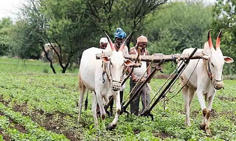 கோப்புபடம்.