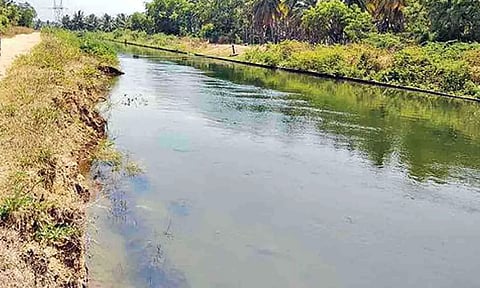கோப்புபடம்.