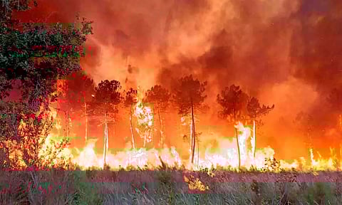 கோப்புபடம்.