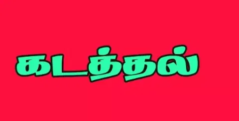 சின்னசேலம் அருகே பிளஸ்-2 மாணவியை கடத்தி சென்ற கல்லூரி மாணவன் கைது