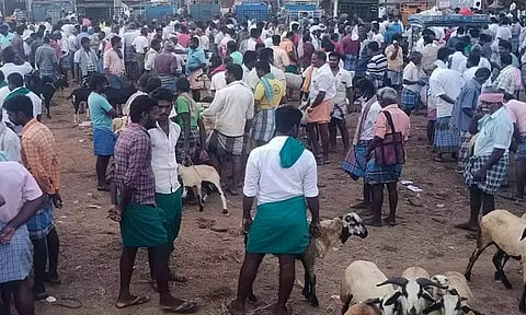 ரம்ஜான் பண்டிகையையொட்டி புதுக்கோட்டையில் இன்று களைகட்டிய ஆட்டுசந்தை
