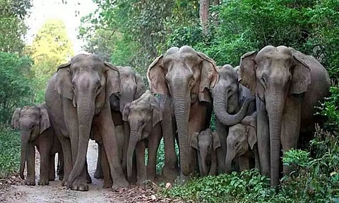 கோப்புபடம்.
