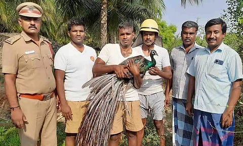 கோப்புபடம்.