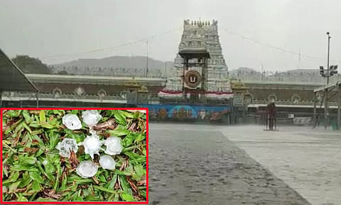 திருப்பதியில் ஆலங்கட்டி மழையால் பக்தர்கள் மகிழ்ச்சி