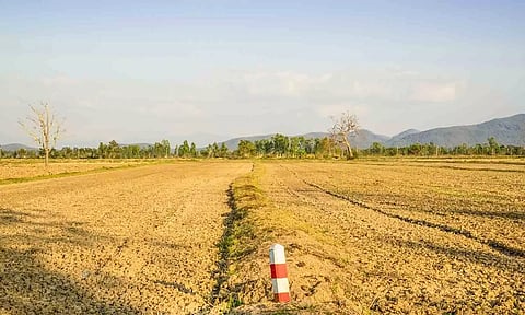 கோப்புபடம். 