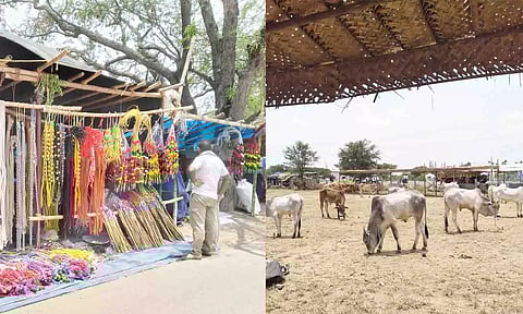 கண்ணபுரம் மாட்டுச்சந்தையை படத்தில் காணலாம். 