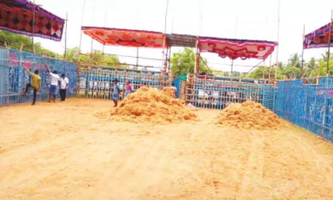 ஜல்லிக்கட்டு போட்டிக்கான ஏற்பாடுகள் நடைபெறுவதை படத்தில் காணலாம்.