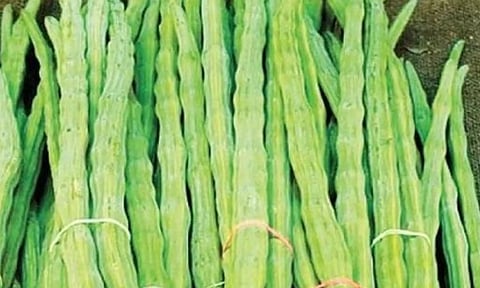 கோப்புபடம். 