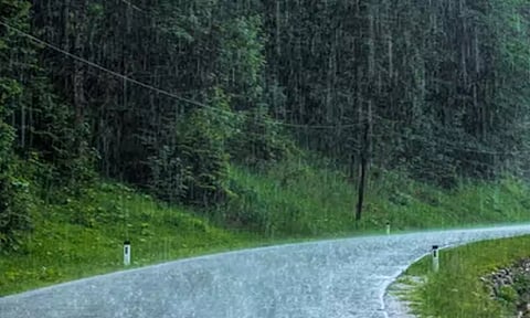 நெல்லை மாவட்டத்தில் இடி-மின்னலுடன் நீடிக்கும் கோடை மழை