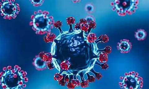 கொரோனா பாதித்து சிகிச்சை பெறுவோர் எண்ணிக்கை 50ஆக உயர்வு