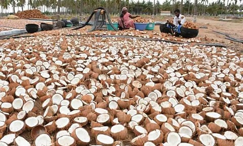 கோப்புபடம்.