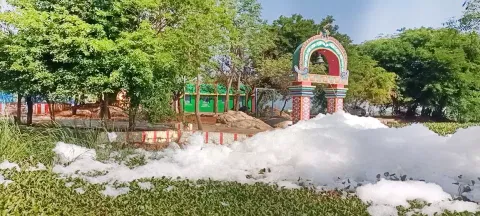 அயன்பாப்பாக்குடி கண்மாயில் நுரையுடன் கழிவுநீர் கலப்பதை படத்தில் காணலாம்.