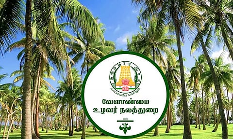 தென்னை மரத்தில் சுருள் வெள்ளை நோயை கட்டுப்படுத்தும் வழிமுறைகள் - வேளாண்மை துறை விளக்கம்