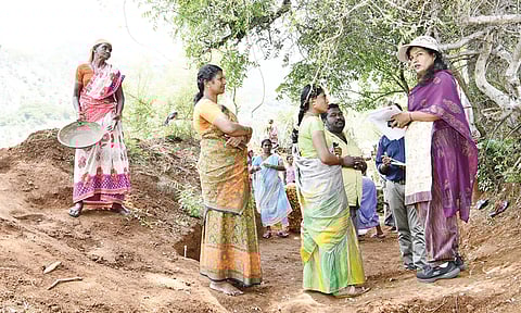 ஜி.கல்லுப்பட்டி ஊராட்சி பகுதியில் நீர்உறிஞ்சு குழிகள் அமைக்கும் பணியினை கலெக்டர் ஷஜீவனா பார்வையிட்டு ஆய்வு மேற்கொண்டார்.